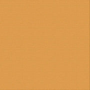 CARD STOCK 216GSM 5pack - Harvest 12 x 12